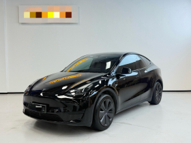 特斯拉 Model Y 2023款 后轮驱动版