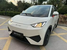 比亚迪 海鸥 2025款 智驾版 305km 活力版