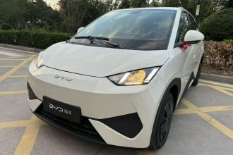 比亚迪 海鸥 2025款 智驾版 305km 活力版