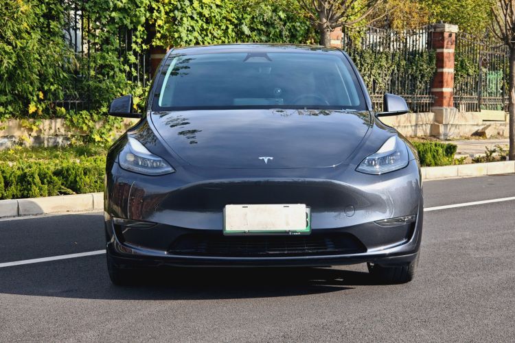 特斯拉 Model Y 2024款 长续航全轮驱动版车身外观6004