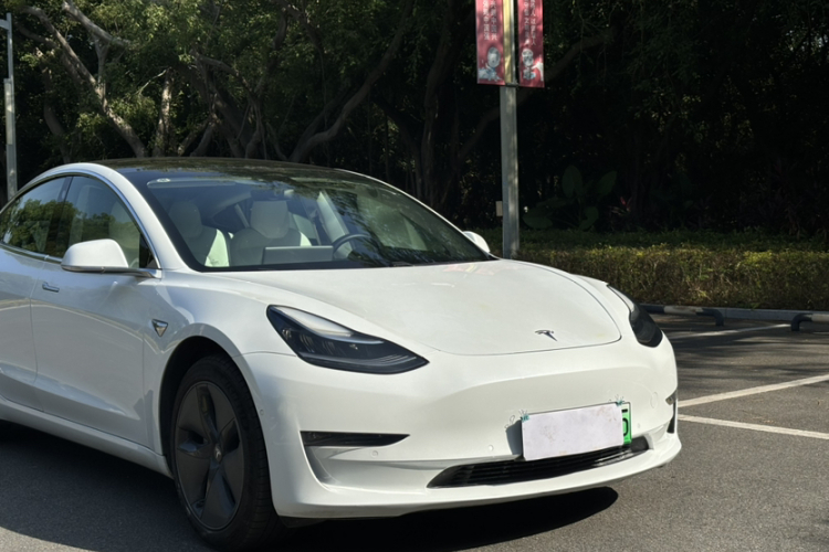 特斯拉 Model 3(进口) 2019款 长续航全轮驱动版车身外观6002
