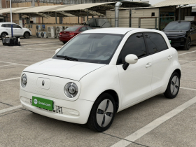 欧拉黑猫 2021款 301km 萌宠版