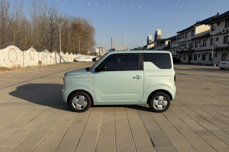 吉利银河 2024款 熊猫mini 200km 耐力熊车身外观6001