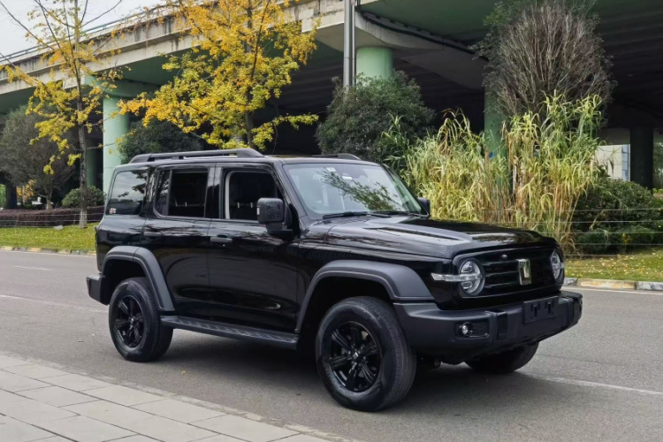 坦克300 2024款 2.0T 征服者车身外观6003