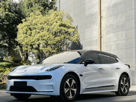 极氪001 2022款 长续航双电机 WE版