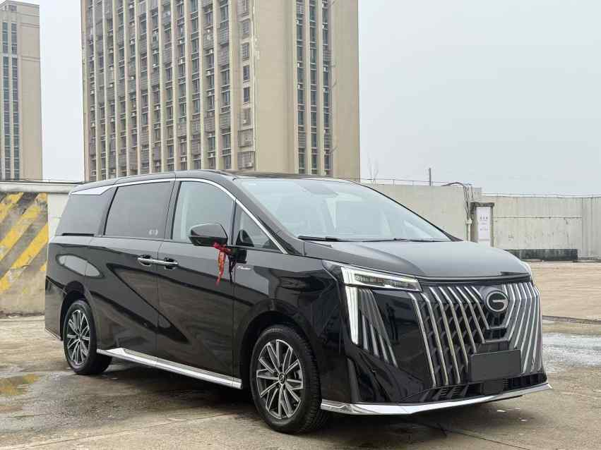 广汽传祺 传祺M8 2024款 大师系列 400T 尊贵版(3)