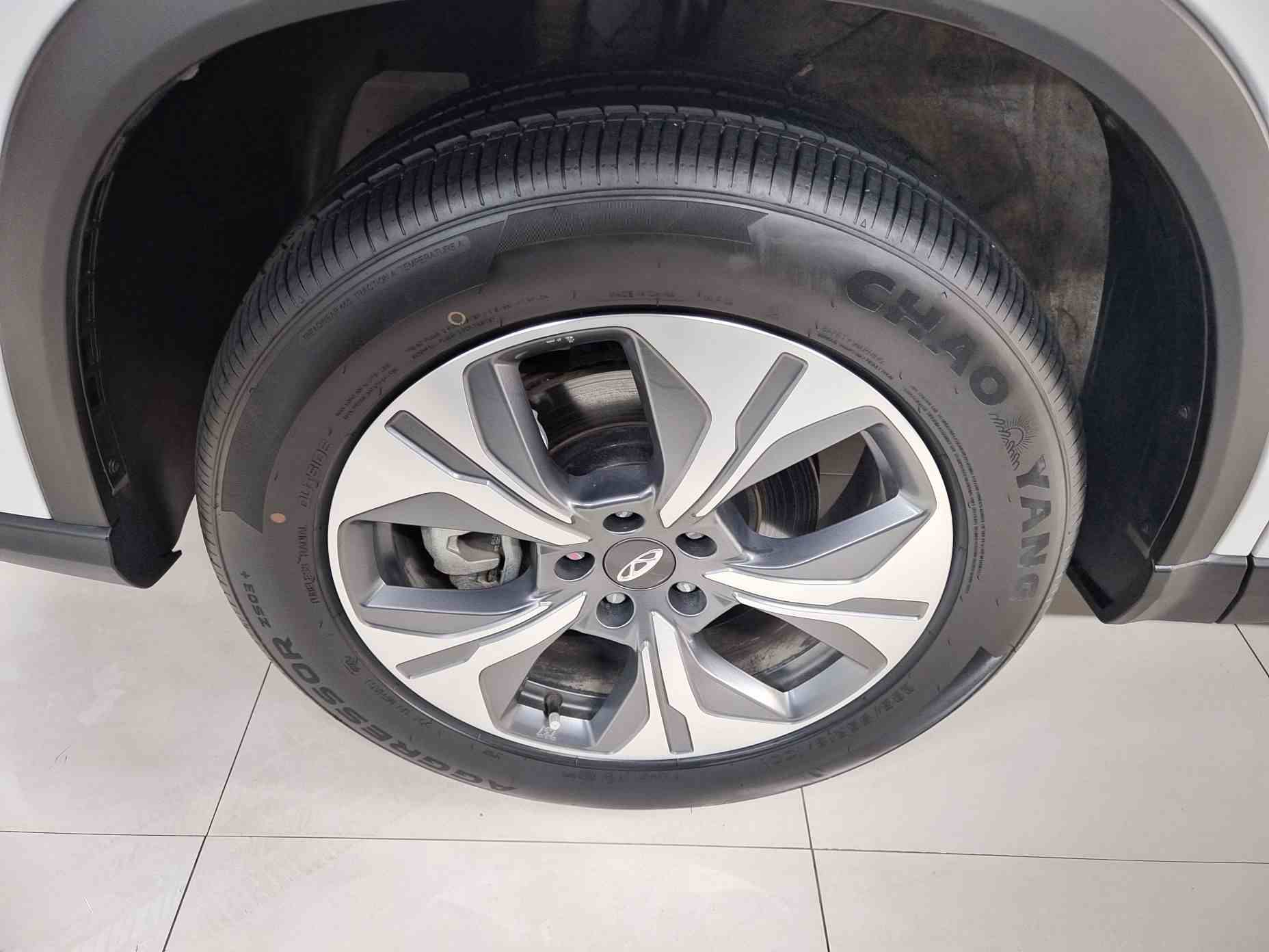 奇瑞 瑞虎8 PRO新能源 2023款 冠军版 1.5T 100km 荣耀版(4)