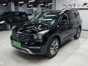 广汽传祺 传祺GS8 2017款 320T 两驱豪华智联版（七座）