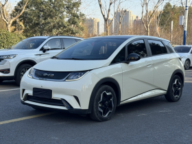 比亚迪 海豚 2021款 405km 时尚版