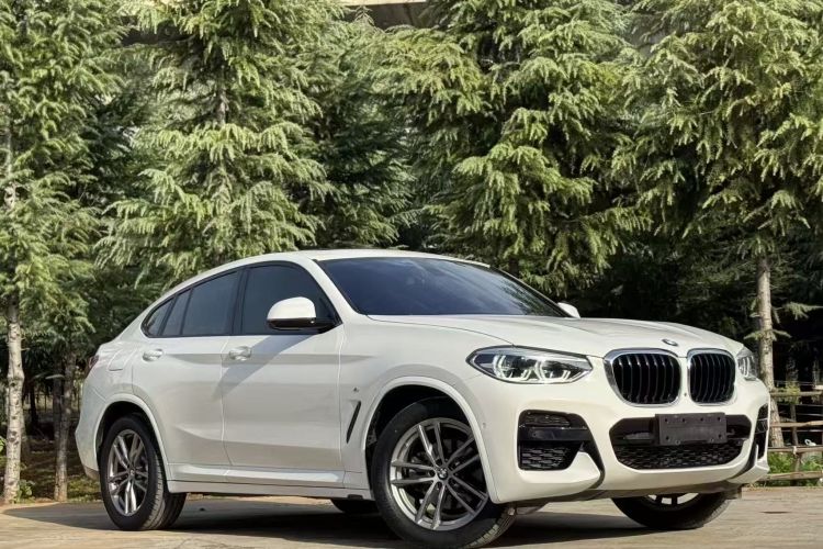 宝马X4 2020款 xDrive25i M运动套装车身外观6005