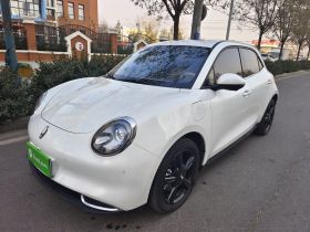 欧拉好猫 2024款 401km 尊荣型 126kW