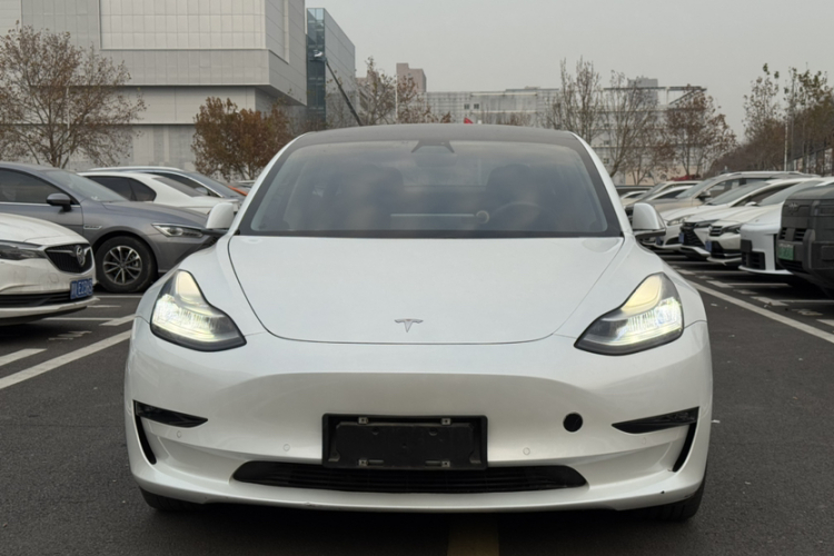特斯拉 Model 3(进口) 2019款 长续航全轮驱动版车身外观6006