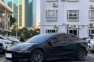 特斯拉 Model 3 2022款 后轮驱动版