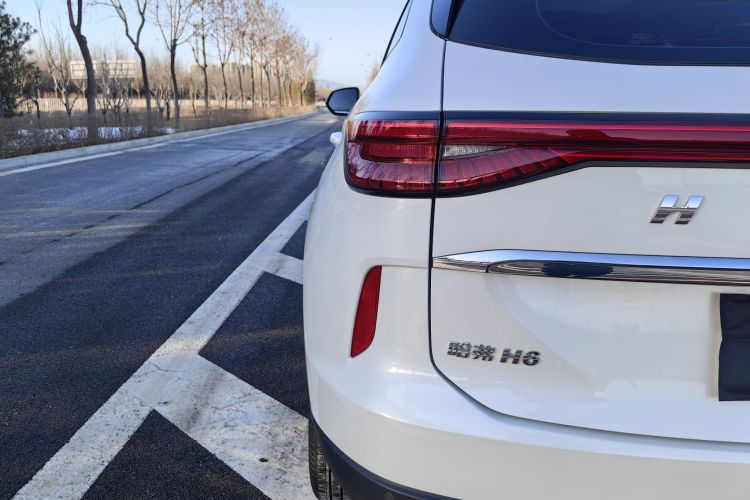 哈弗H6 2021款 第三代 1.5T 自动两驱Pro车身外观6008