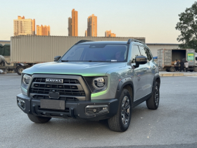 哈弗大狗 2024款 2.0T DCT中华田园犬版