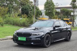 宝马5系(进口) 2020款 530i 风尚版 M运动套装