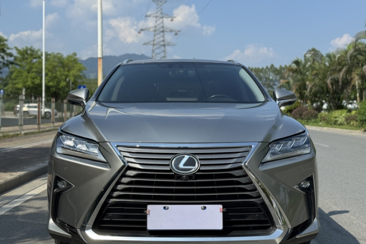 雷克萨斯RX 2016款 300 四驱典雅版 国V车身外观6007