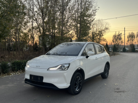 哪吒汽车 哪吒V 2021款 标准续航娱乐版