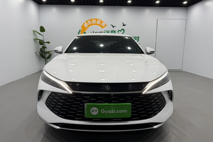 比亚迪 秦L 2024款 DM-i 80KM领先型车身外观6001