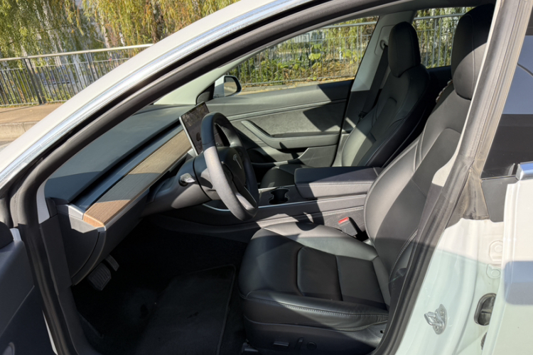 特斯拉 Model 3 2019款 标准续航后驱升级版局部细节19