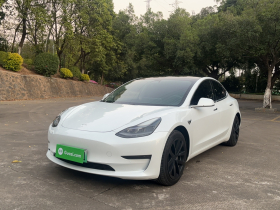 特斯拉 Model 3 2020款 改款 长续航后轮驱动版