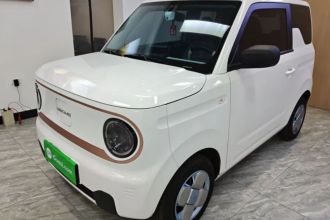 吉利银河 2023款 熊猫mini 200km 耐力熊