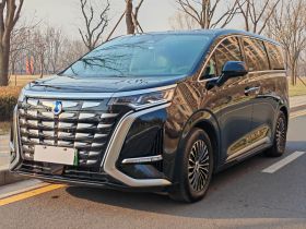 腾势D9 2024款 DM-i 980 四驱尊荣型