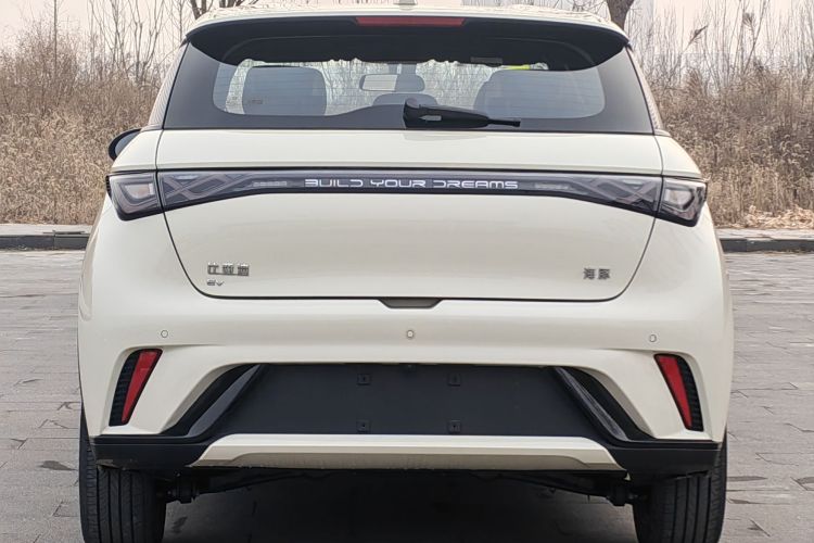 比亚迪 海豚 2025款 420km 自由版车身外观6005