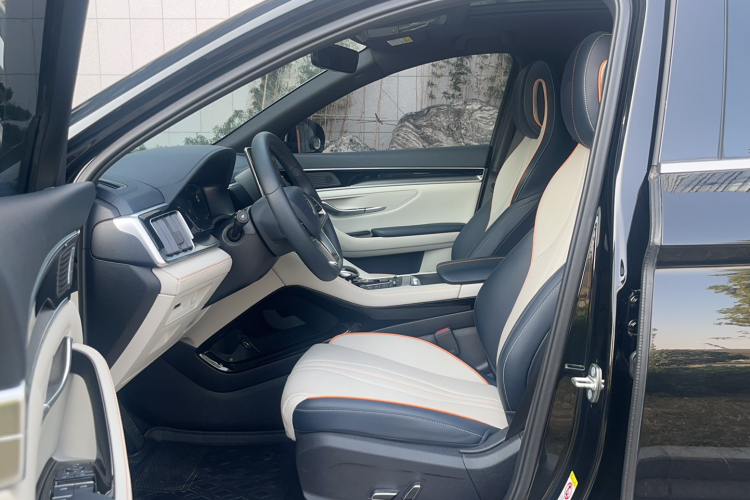 比亚迪 宋PLUS新能源 2021款 EV 旗舰型局部细节19