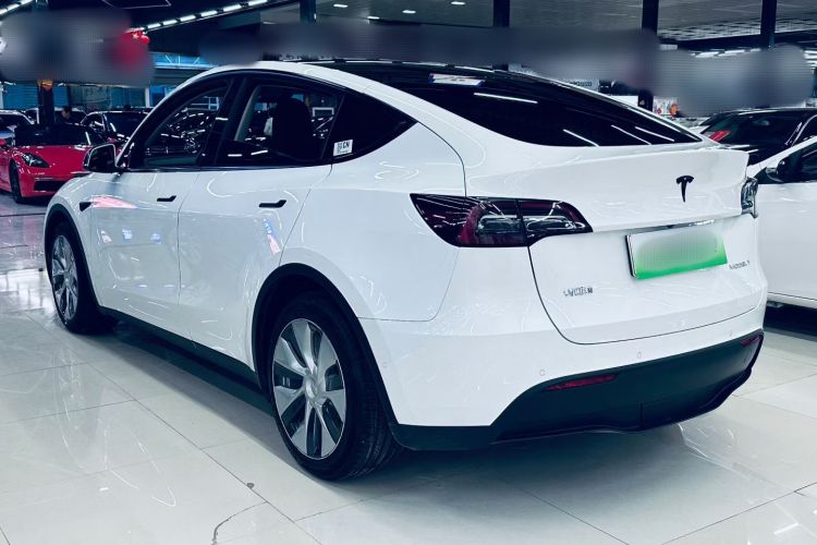 特斯拉 Model Y 2021款 标准续航后驱版车身外观6006
