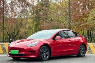 特斯拉 Model 3 2021款 标准续航后驱升级版