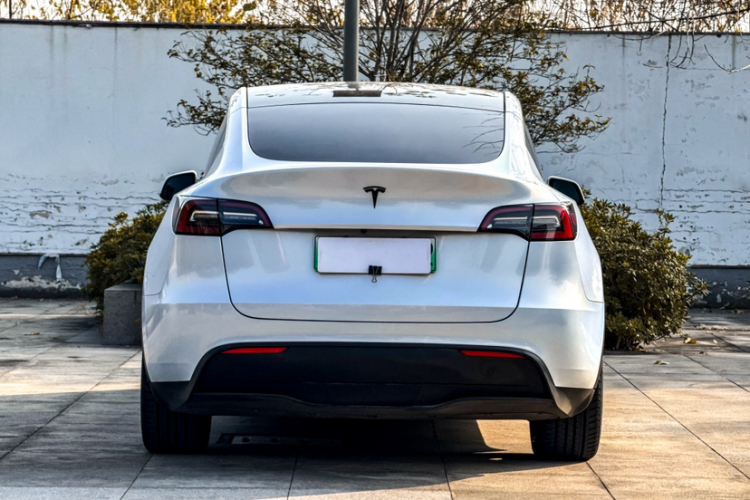 特斯拉 Model Y 2021款 标准续航后驱版车身外观6006