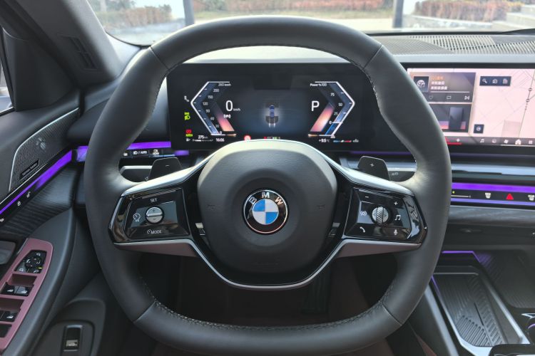 宝马5系 2025款 530Li 领先型 豪华套装局部细节13