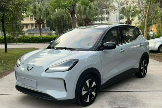 五菱汽车 五菱缤果PLUS 2024款 330km 五座版