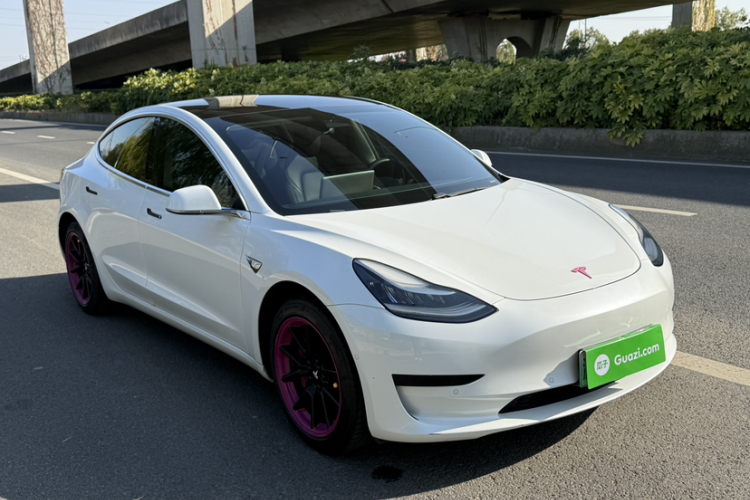 特斯拉 Model 3 2019款 标准续航后驱升级版车身外观6007