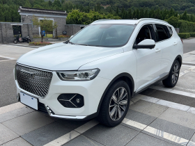 哈弗H6 2021款 1.5GDIT 自动冠军版