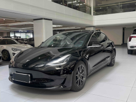 特斯拉 Model 3 2020款 标准续航后驱升级版