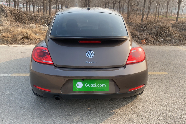 大众 甲壳虫 2015款 180TSI车身外观6004