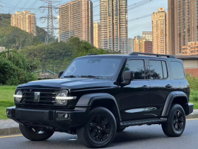 坦克300 2023款 越野版 2.0T 挑战者