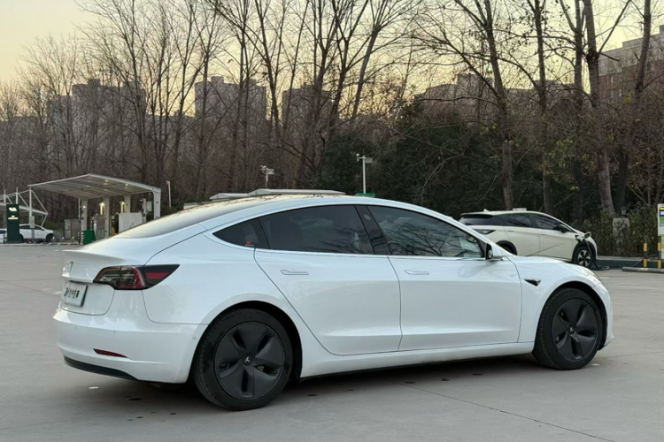 特斯拉 Model 3(进口) 2019款 长续航后驱版车身外观6006
