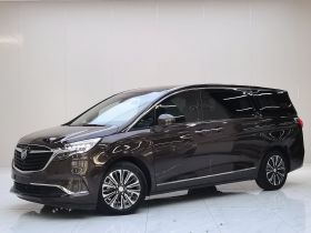 别克GL8 2020款 ES陆尊 653T 旗舰型