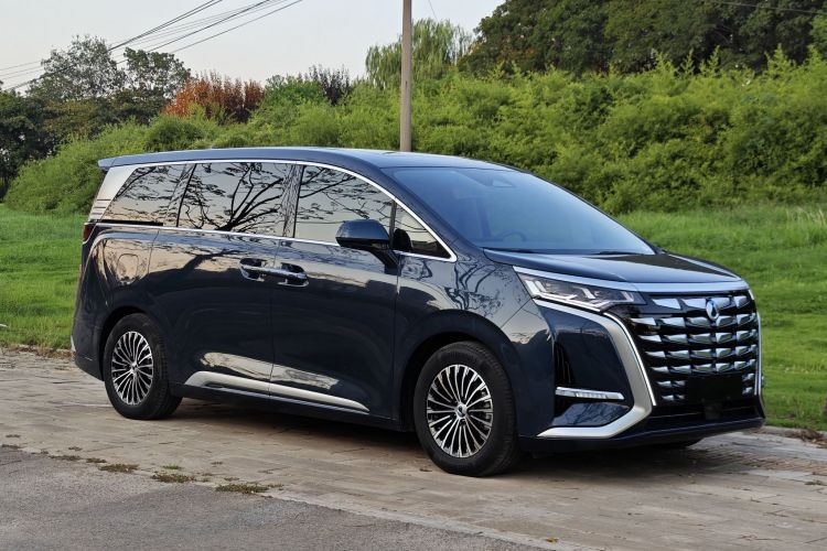 腾势D9 2024款 DM-i 980 四驱旗舰型车身外观6006