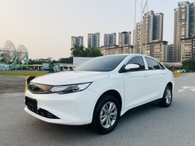 吉利汽车 帝豪新能源 2022款 EV Pro 网约版 磷酸铁锂