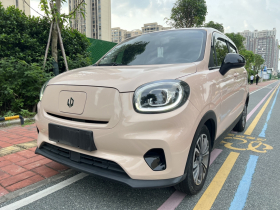 零跑汽车 零跑T03 2021款 400舒享版