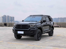 坦克400新能源 2024款 Hi4-T 城市版