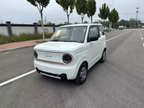 吉利银河 2024款 熊猫mini 200km 耐力熊
