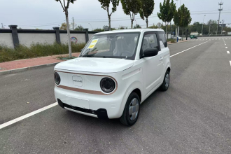 吉利银河 2024款 熊猫mini 200km 耐力熊