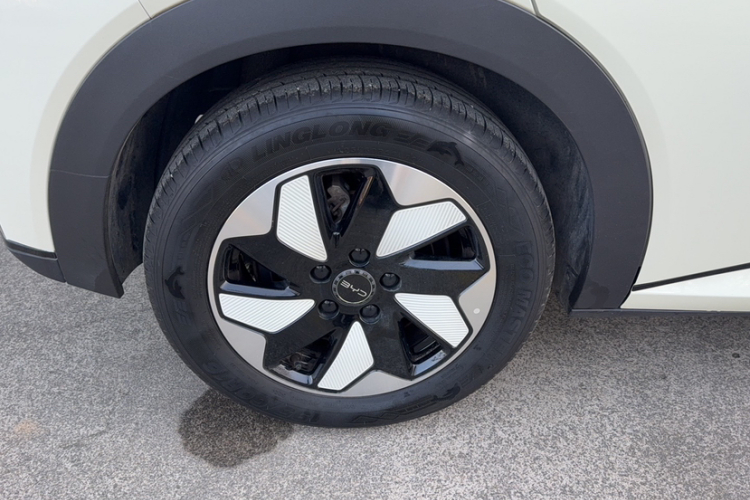 比亚迪 海豚 2025款 420km 时尚版车身外观6007