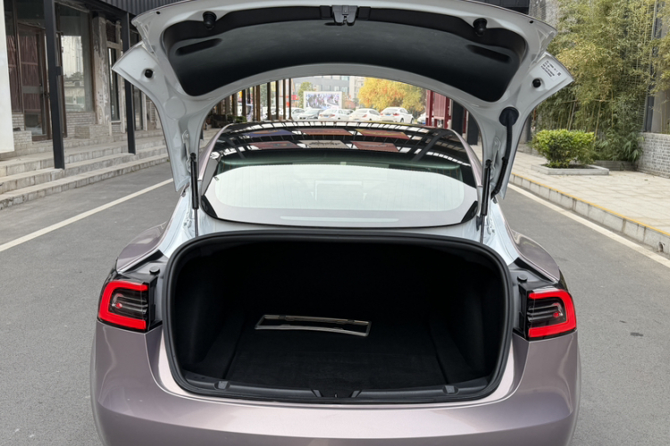 特斯拉 Model 3(进口) 2019款 长续航后驱版局部细节23