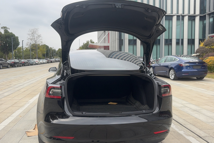 特斯拉 Model 3 2020款 长续航后轮驱动版局部细节23